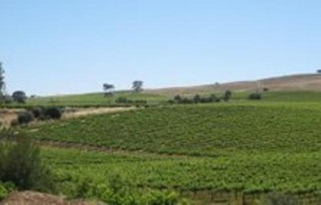 Stonewell Cottages And Vineyards Tanunda Exteriör bild