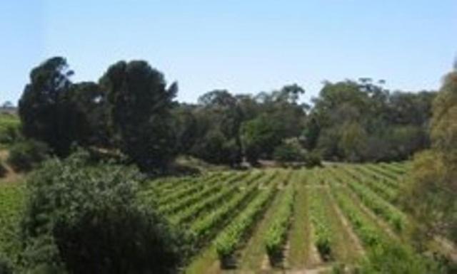 Stonewell Cottages And Vineyards Tanunda Exteriör bild