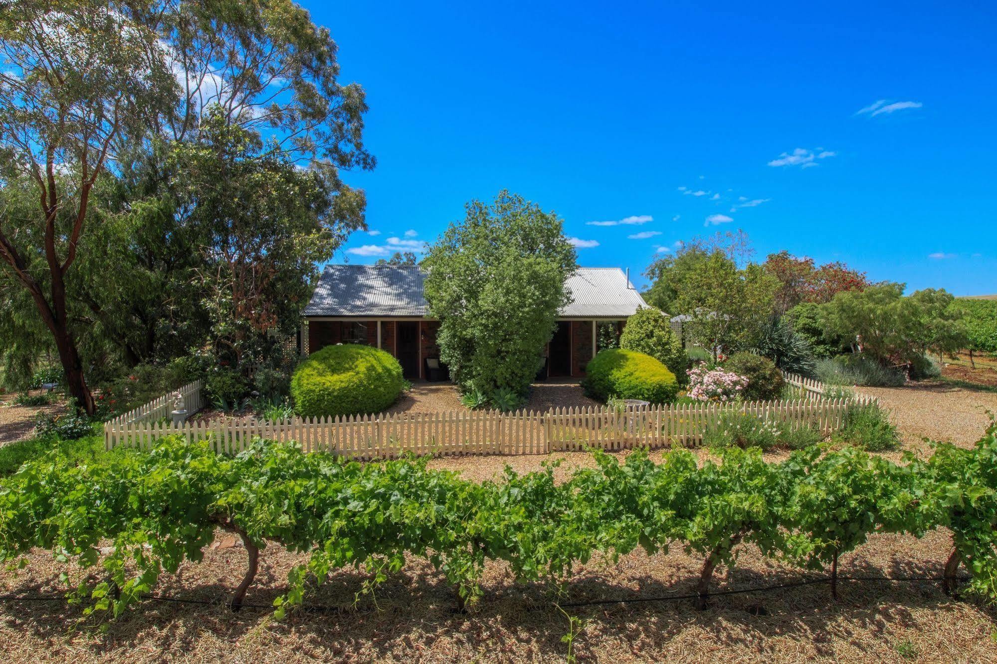 Stonewell Cottages And Vineyards Tanunda Exteriör bild